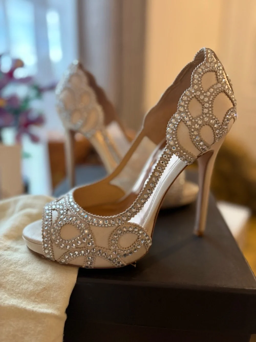 Badgley Mischka Ivory Crystal Embellished Peep-Toe Pumps - Picture 2 of 6
